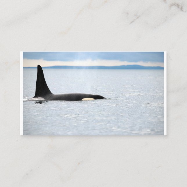 Tarjeta De Visita Alaska - Orca (Anverso)