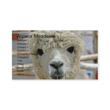 Albornoces de Alpaca