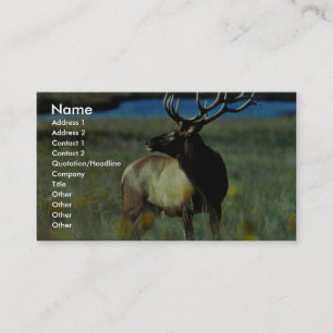 Tarjeta De Visita Alces de Bull