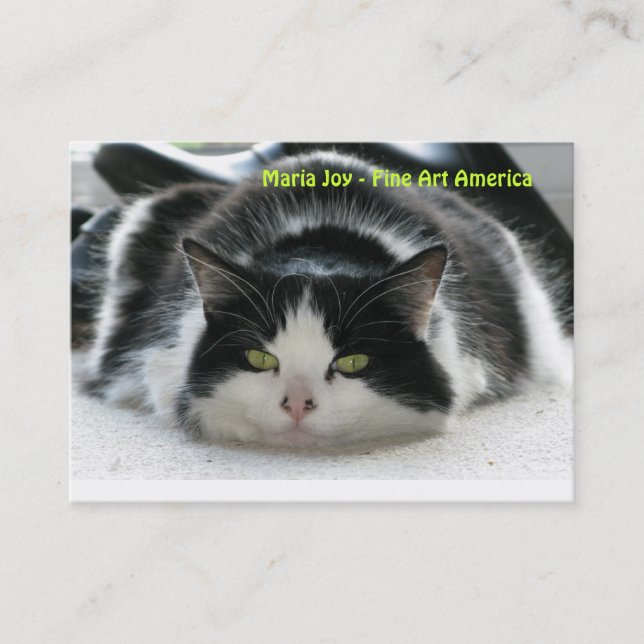 Tarjeta De Visita Alegría de Maria - Bello Artes América. (Anverso)