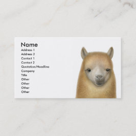 Tarjeta de visita alerta de la alpaca