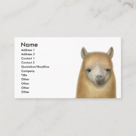 Tarjeta de visita alerta de la alpaca