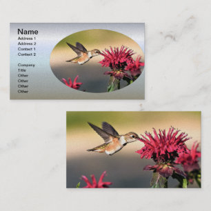 Tarjeta De Visita Alimentador de flores de colibrí