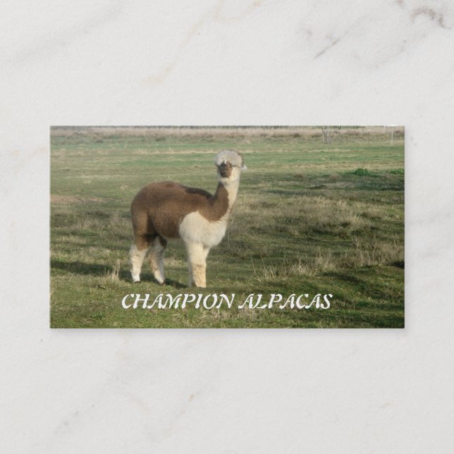 Tarjeta De Visita Alpacas campeona (Anverso)