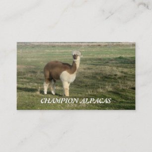 Tarjeta De Visita Alpacas del campeón