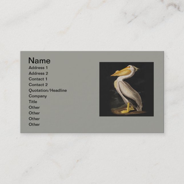Tarjeta De Visita América del pájaro pelícano blanco audubon (Anverso)