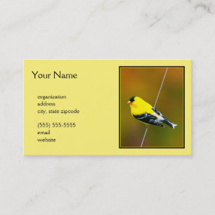 Tarjeta De Visita American Goldfinch - Fotografía original