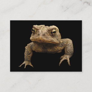 Tarjeta De Visita American Toad ATC