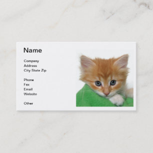Tarjeta de visita anaranjada del gatito