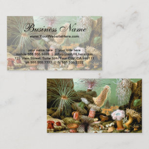 Tarjeta De Visita Anémonas de mar Vida marina, Animales marinos anti