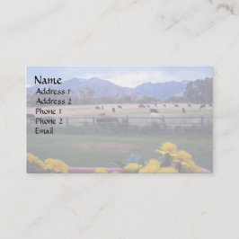 Tarjeta De Visita Angus On Pastel