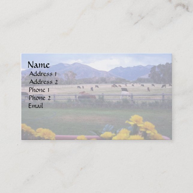 Tarjeta De Visita Angus On Pastel (Anverso)