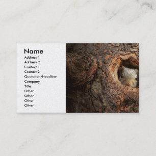 Tarjeta De Visita Animal - ardilla - No soy tímido soy introvertido