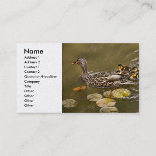 Tarjeta De Visita Animal - Patos - Nadar como un pato