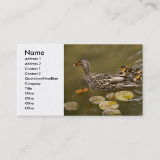 Tarjeta De Visita Animal - Patos - Nadar como un pato