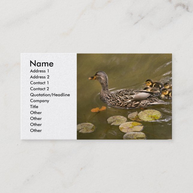 Tarjeta De Visita Animal - Patos - Nadar como un pato (Anverso)