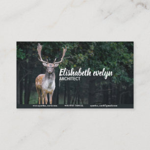 Tarjeta De Visita animal salvaje del estadio de los ciervos