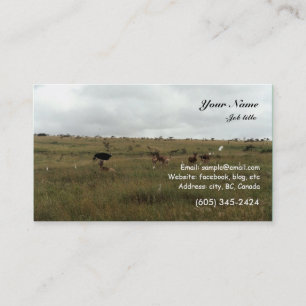 Tarjeta De Visita Animales salvajes de África Kenia