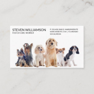 Tarjeta De Visita Animales sentados en grupo