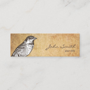 Tarjeta de visita antigua del pájaro mini tarjetas