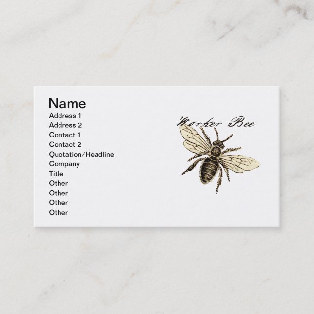 Tarjeta De Visita Antigüedad del Ilustracion de los insectos de los  (Anverso)