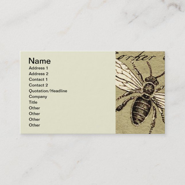 Tarjeta De Visita Antigüedad del Ilustracion de los insectos de los  (Anverso)