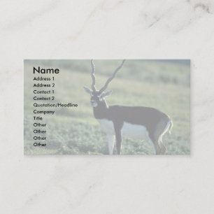Tarjeta De Visita Antílope de Blackbuck