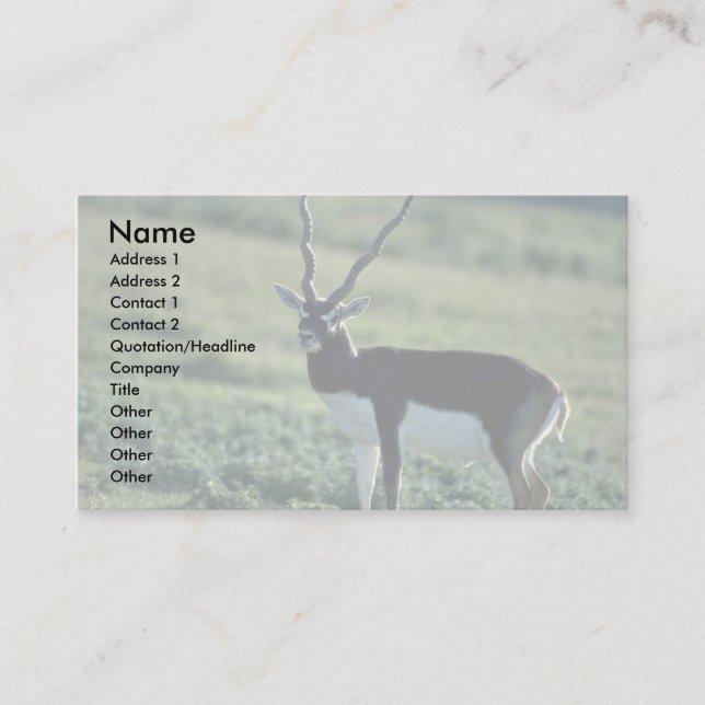Tarjeta De Visita Antílope de Blackbuck (Anverso)