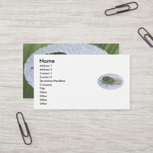 Tarjeta de visita anual Cicada