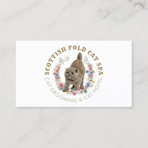 Tarjeta De Visita Apoyo para el cuidado de gatos con necesidades esp
