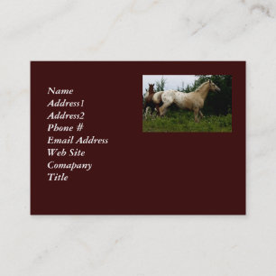 Tarjeta De Visita Appaloosa Horse Business Card