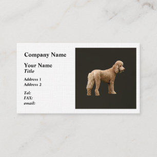 Tarjeta De Visita Apricot Poodle