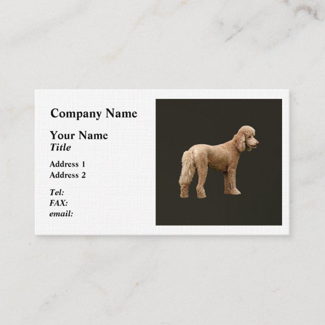 Tarjeta De Visita Apricot Poodle (Anverso)