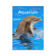 Tarjeta de visita Aquarium con delfín