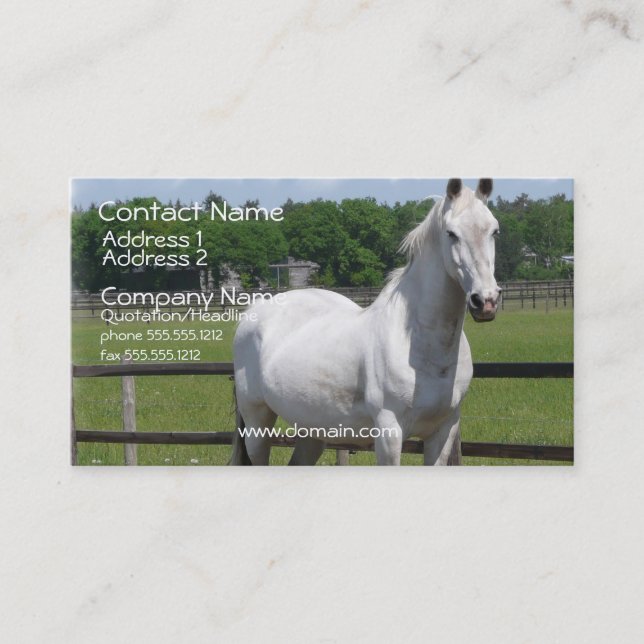 Tarjeta de visita árabe del caballo (Anverso)
