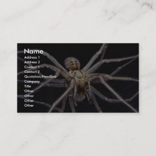 Tarjeta De Visita Araña amenazadora venenosa del recluse