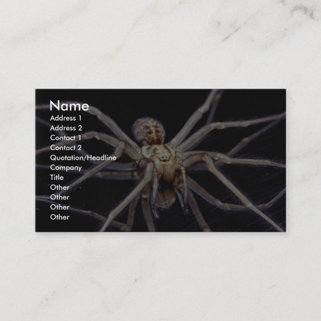 Tarjeta De Visita Araña amenazadora venenosa del recluse (Anverso)