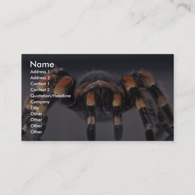 Tarjeta De Visita Araña asustadiza del Tarantula (Anverso)