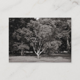 Tarjeta De Visita Árbol de Magnolia - BW cálido