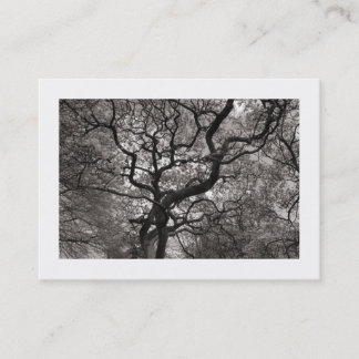 Tarjeta De Visita Árbol de Magnolia en Blossom 03 (bordeado)