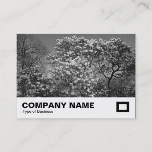 Tarjeta De Visita Árbol de magnolia en Blossom (B&W)