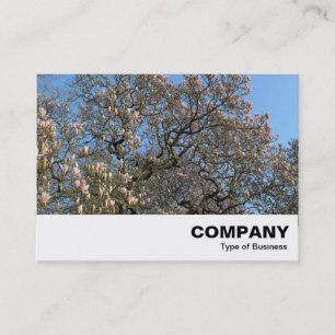 Tarjeta De Visita Árbol de magnolia en flor