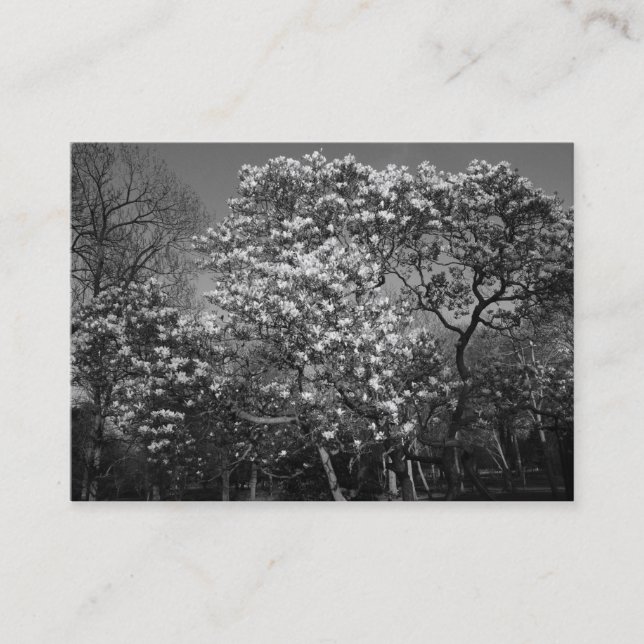 Tarjeta De Visita Árbol de magnolia en flor (B&W) (Anverso)