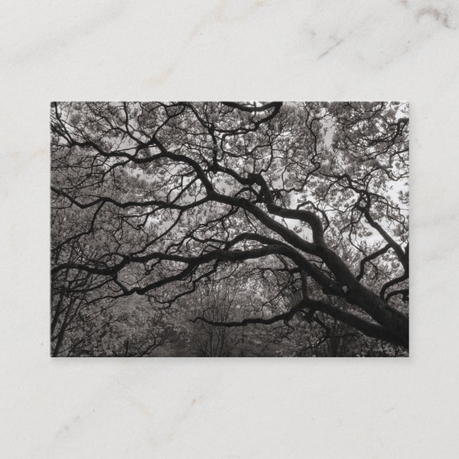 Tarjeta De Visita Árbol de Magnolia en Florencia 01 (Anverso)