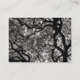 Tarjeta De Visita Árbol de Magnolia en Florencia 02