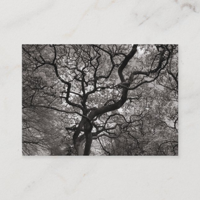 Tarjeta De Visita Árbol de Magnolia en Florencia 03 (Anverso)