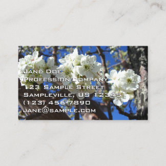 Tarjeta De Visita Árbol de peras florido de primavera de los Cluster