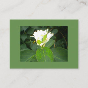 Tarjeta De Visita Árbol de succión