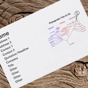 Tarjeta De Visita Árbol filogenético de la vida que estás aquí