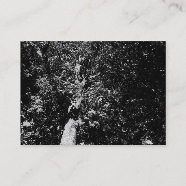 Tarjeta De Visita Árbol plano de Londres B&W, Mini foto (Anverso)